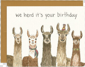 Punny Group Birthday Greeting Card   Llama Birthday Card Printable  HD Png Download