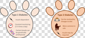 Type 1 Vs Type 2 Diabetes In Pets   Diabetes In Pets  HD Png Download