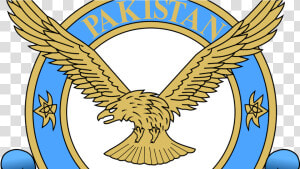 Transparent Air Force Logo Png   Pakistan Air Force Logo  Png Download