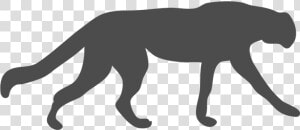 Wildcat  Cougar  Leopard  Cheetah  Animal  Cat  Feline   Cheetah Silhouette  HD Png Download