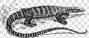 Graphics Of Black And White Lizard In Nature   Monitor Lizard Black And White  HD Png Download