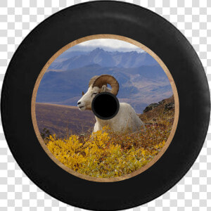 Jeep Wrangler Jl Backup Camera Ram Horns In The Mountain   Denali National Park  HD Png Download