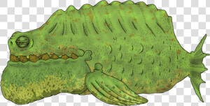 Sleepy Png  Transparent Png