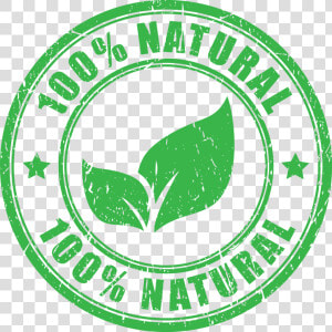 100 Natural Logo Vector   Png Download   0 Natural  Transparent Png