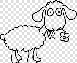 Adult Sheep Coloring Pages Coloringstar Eating Flowercoloring   Sheep Drawing Png Transparent  Png Download