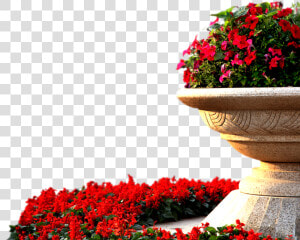  ftestickers  landscape  landscaping  garden  roses   Red Flower Bed Png  Transparent Png