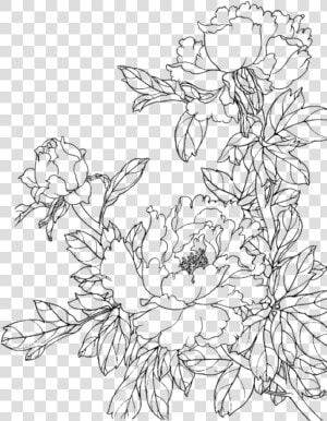  flower  flowers  draw  drawing  scrapbook  scrapbooking   Flower Line Drawing Png  Transparent Png