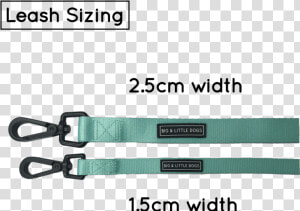 Dog Leash For Big And Small Dogs Classic Solid Teal   Big  amp  Little Dogs  HD Png Download