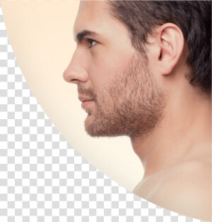 Perfect Nose Man Profile   Perfect Male Nose Profile  HD Png Download