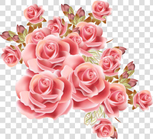 Rose Flower Drawing Stock Photography   Rose Gold Flower Png  Transparent Png