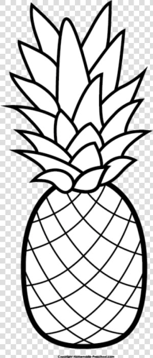 Adult Coloring Pages Pineapples  HD Png Download