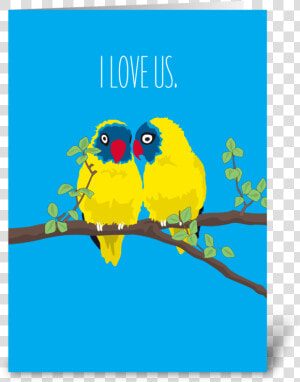 Love Us Love Birds Greeting Card   Budgie  HD Png Download