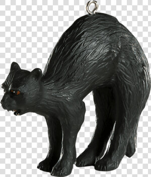 Black Cat Halloween Horror Ornament   Black Cat  HD Png Download