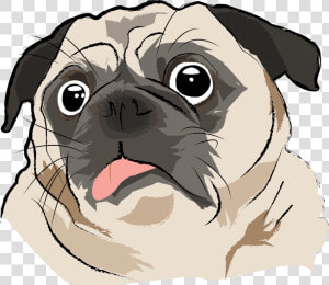 Pug   Pug Dog Vector Art  HD Png Download