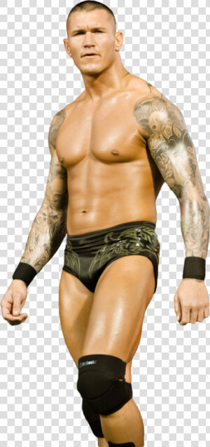 Transparent Randy Orton Rko Png   Randy Orton Image Download  Png Download