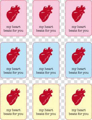 Transparent Anatomical Heart Png   Real Heart Valentines Card  Png Download