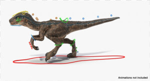 Velociraptor Png  Transparent Png