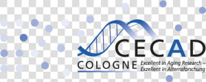 Cecad Cologne  HD Png Download