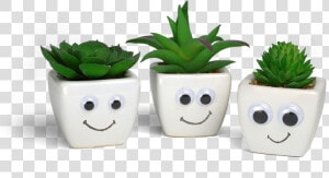 Transparent Happy Cartoon Eyes Png   Flowerpot  Png Download