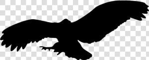 Eagle Flying Png  eagle Bird Animal Flying Png Image   Owl Flying Silhouette Png  Transparent Png