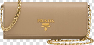 Transparent Bag Of Gold Png   Prada Wallet  Png Download