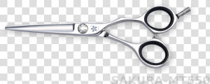 Mt550  Professional Hair Cutting Shears For Hairdressers   Scissors  HD Png Download