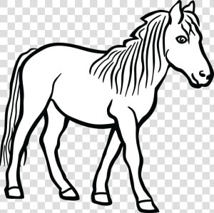 Black And White Png Of Horse   Clipart Black And White Horse  Transparent Png