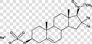 Pregnenolone  20 21 13c2  16 16 D2  Sulfate Sodium   Structure  HD Png Download