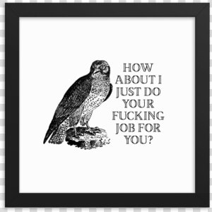 Your Job Framed Poster Srcset Data   Hawk  HD Png Download