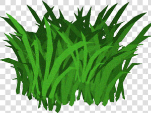 Algae Clipart Transparent Animated Seaweed With Transparent   Seaweed Transparent Background  HD Png Download