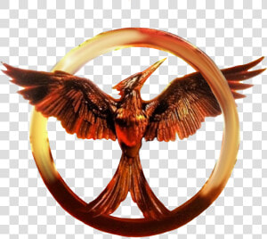 Mockingjay Catching Fire Peeta Mellark The Hunger Games   Transparent Hunger Games Mockingjay Symbol  HD Png Download