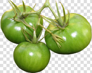 Tomatoes  Green  Food  Vegetables  Organic   Planta De Tomate Verde Png  Transparent Png