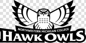 Northwestern Michigan College Logo  HD Png Download