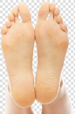 Transparent Foot Soles   Human Foot  HD Png Download