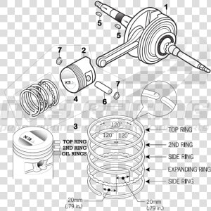 150cc Stroker Diagram  HD Png Download