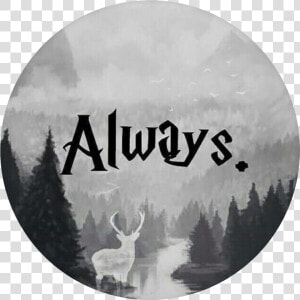 Harry Potter Always Popsocket  HD Png Download