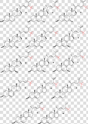 Neo Steroids Isolated From Marine Sponges  Anemones   Biosynthese Calcitriol  HD Png Download