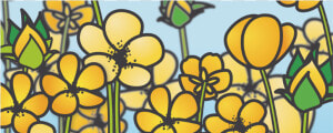 Buttercup Flower Field Yellow Floral Arrangement White   Stained Glass  HD Png Download