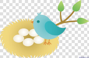 Unconditional Bird Cartoon With   Bird In Nest Clipart  HD Png Download