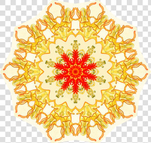 Orange symmetry yellow   Happy 55th Wedding Anniversary  HD Png Download