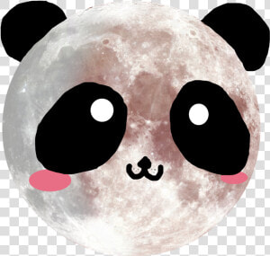  panda  kawaii  cute  moon  luna  cuqui  pandalove   Full Moon Hi Def  HD Png Download