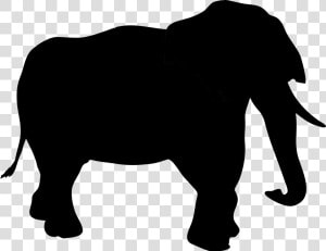 Buffalo Clip Art Vector Graphics Portable Network Graphics   Elefante Silhueta Png  Transparent Png