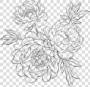 To Handing Out Paper Flowers I Hand Crafted For My   Line Art  HD Png Download