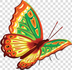 Imagen Relacionada Butterfly Clip Art  Butterfly Painting    Butterfly Painting Png  Transparent Png