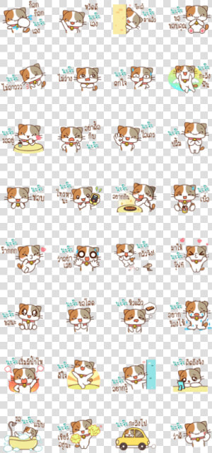 Cat Name Is Naja  HD Png Download