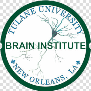 Tulane Brain Institute Logo  HD Png Download