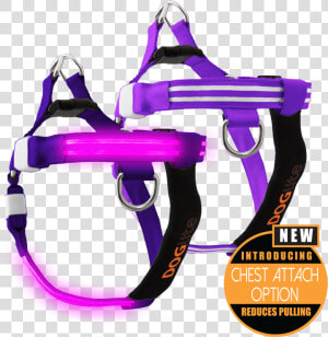 Double Trouble Led Dog Harness   Pet Harness  HD Png Download