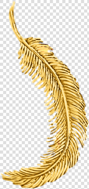 Tiffany S 18k Yellow Gold Feather Pin   Gold Feather Png  Transparent Png