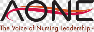 Aone Guiding Principles For The Role Of The Nurse In   Aone  HD Png Download