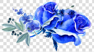  interesting  quinceanera  nature   Royal Blue Flowers Png  Transparent Png